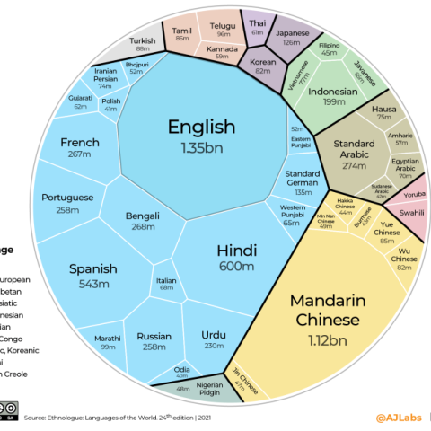 language infographic